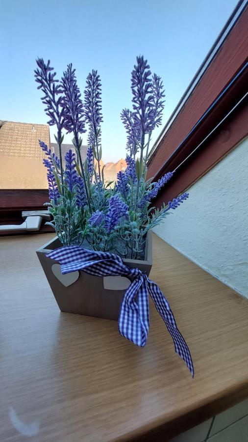 Ferienwohnung Weser Minden  Buitenkant foto